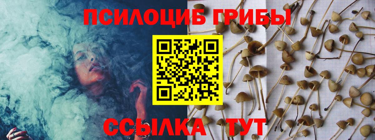 Тара  Галлюциногенные грибы MAGIC MUSHROOMS  Вход с VPN  Галлюциногенные грибы MAGIC MUSHROOMS 
