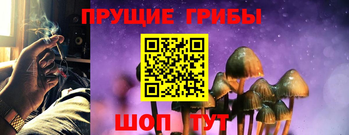 Галлюциногенные грибы MAGIC MUSHROOMS Тара